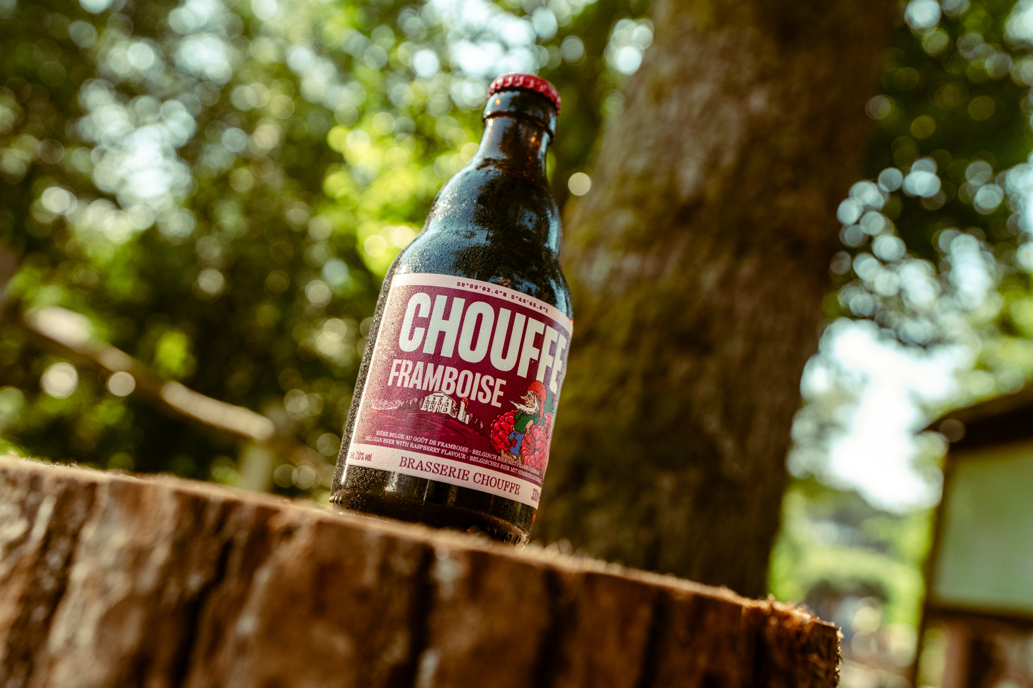 Picture 2 Landing Page Nieuw 2