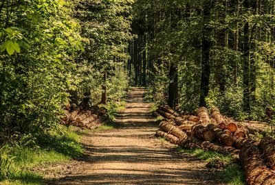 Explore Ardenne Picture 5